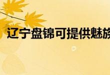 遼寧盤錦可提供魅族手機(jī)維修服務(wù)地址在哪
