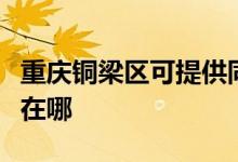 重慶銅梁區(qū)可提供同洲平板電視維修服務(wù)地址在哪