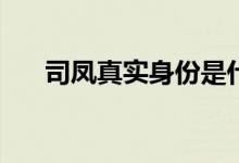 司鳳真實身份是什么(司鳳的真實身份)