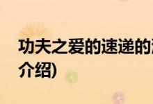 功夫之愛的速遞的演員(功夫之愛的速遞劇情介紹)
