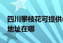 四川攀枝花可提供realme平板電視維修服務(wù)地址在哪