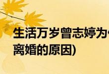 生活萬歲曾志婷為什么離婚(生活萬歲曾志婷離婚的原因)