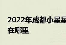 2022年成都小星星兒童心理康復(fù)中心的地址在哪里