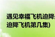 遇見幸福飛機迫降是哪一集(遇見幸福司問渠迫降飛機第幾集)