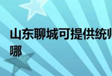 山東聊城可提供統(tǒng)帥平板電視維修服務(wù)地址在哪
