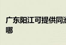 廣東陽(yáng)江可提供同洲平板電視維修服務(wù)地址在哪