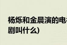 楊爍和金晨演的電視劇(楊爍和金晨演的電視劇叫什么)