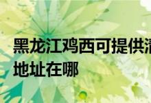 黑龍江雞西可提供清華同方平板電視維修服務地址在哪
