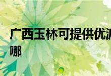廣西玉林可提供優(yōu)派平板電視維修服務地址在哪