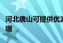 河北唐山可提供優(yōu)派平板電視維修服務地址在哪