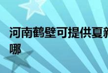 河南鶴壁可提供夏新平板電視維修服務地址在哪