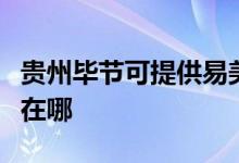 貴州畢節(jié)可提供易美遜平板電視維修服務(wù)地址在哪