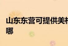 山東東營可提供美格平板電視維修服務地址在哪