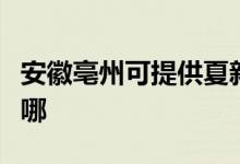 安徽亳州可提供夏新平板電視維修服務(wù)地址在哪