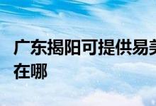 廣東揭陽可提供易美遜平板電視維修服務(wù)地址在哪