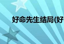 好命先生結局(好命先生大結局是什么)