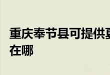 重慶奉節(jié)縣可提供夏新平板電視維修服務(wù)地址在哪