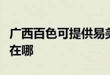 廣西百色可提供易美遜平板電視維修服務(wù)地址在哪