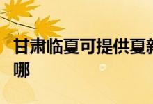 甘肅臨夏可提供夏新平板電視維修服務地址在哪