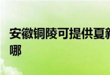 安徽銅陵可提供夏新平板電視維修服務(wù)地址在哪