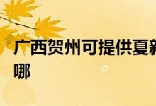 廣西賀州可提供夏新平板電視維修服務地址在哪