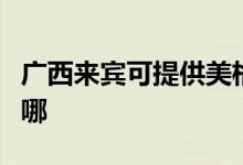 廣西來(lái)賓可提供美格平板電視維修服務(wù)地址在哪
