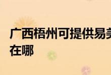 廣西梧州可提供易美遜平板電視維修服務(wù)地址在哪