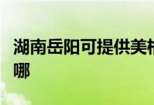 湖南岳陽可提供美格平板電視維修服務地址在哪