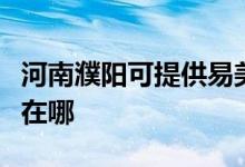 河南濮陽(yáng)可提供易美遜平板電視維修服務(wù)地址在哪
