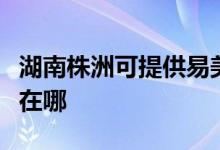 湖南株洲可提供易美遜平板電視維修服務(wù)地址在哪