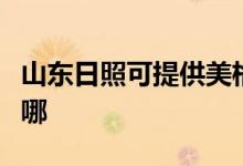 山東日照可提供美格平板電視維修服務地址在哪
