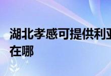 湖北孝感可提供利亞德平板電視維修服務(wù)地址在哪