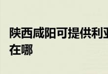 陜西咸陽可提供利亞德平板電視維修服務(wù)地址在哪