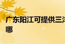 廣東陽(yáng)江可提供三洋平板電視維修服務(wù)地址在哪