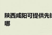 陜西咸陽可提供先鋒平板電視維修服務地址在哪