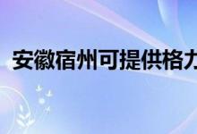 安徽宿州可提供格力空調(diào)維修服務(wù)地址在哪