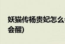 妖貓傳楊貴妃怎么會(huì)醒(妖貓傳楊貴妃為什么會(huì)醒)