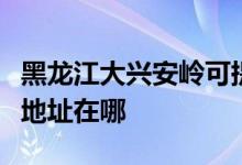 黑龍江大興安嶺可提供康冠平板電視維修服務(wù)地址在哪