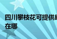 四川攀枝花可提供康冠平板電視維修服務地址在哪
