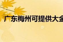 廣東梅州可提供大金空調(diào)維修服務地址在哪