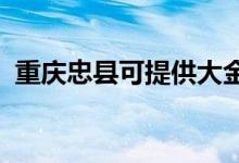 重慶忠縣可提供大金空調(diào)維修服務地址在哪