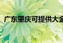 廣東肇慶可提供大金空調(diào)維修服務地址在哪