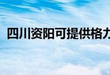 四川資陽可提供格力空調(diào)維修服務(wù)地址在哪