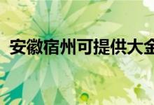 安徽宿州可提供大金空調(diào)維修服務地址在哪