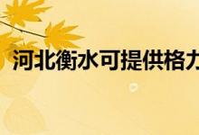 河北衡水可提供格力空調(diào)維修服務(wù)地址在哪
