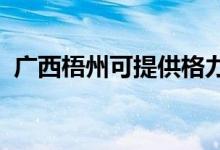 廣西梧州可提供格力空調(diào)維修服務(wù)地址在哪