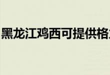 黑龍江雞西可提供格力空調(diào)維修服務(wù)地址在哪