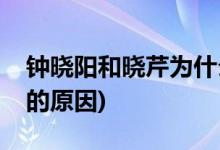 鐘曉陽(yáng)和曉芹為什么分手(鐘曉陽(yáng)和曉芹分手的原因)