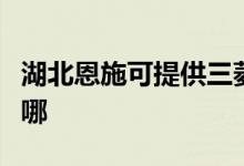 湖北恩施可提供三菱電機空調(diào)維修服務地址在哪