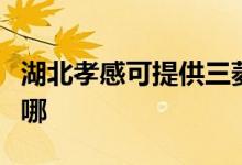 湖北孝感可提供三菱電機空調(diào)維修服務地址在哪